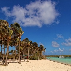 Excursion en mer Guadeloupe