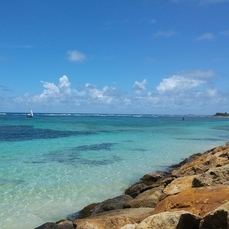 Excursion en mer Guadeloupe