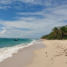 Excursion en mer Guadeloupe